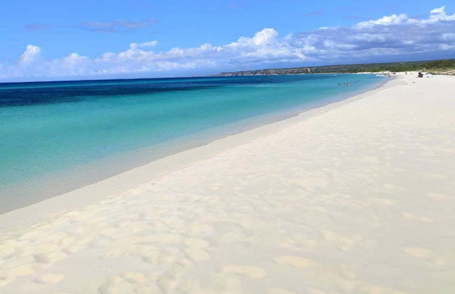 Bahía de las Águilas Day Trip from Pedernales - Photo 8