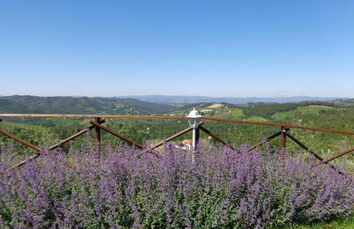 La Corte dei Banchetti - Foto 19