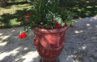 wingate cottage - Foto 7