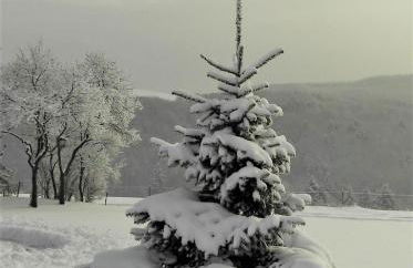 Ferienwohnung Hügelhaus - Foto 32