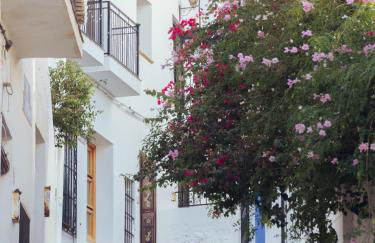 Harmonia De La Mar - Photo 37