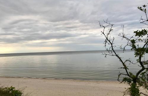 J.A.C.K.E.S. - Foto 40