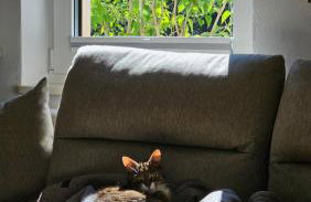 Forest House Podwilczyn with sauna & fireplace - Foto 28