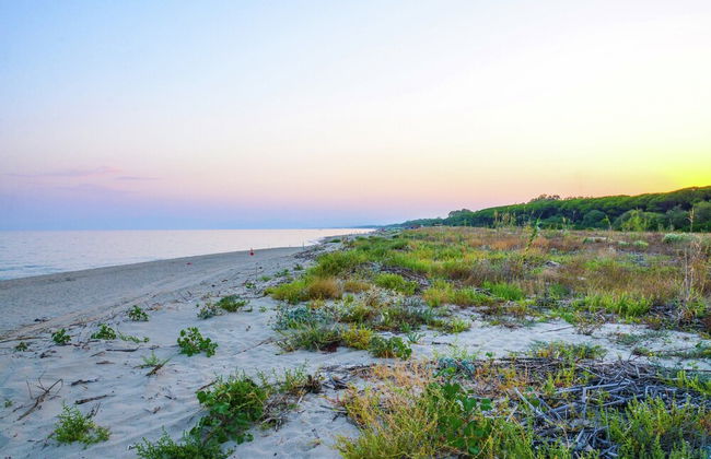 Holiday Home in Cropani Marina With Pool - Foto 35