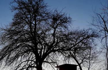 Odenwald Lounge im Naturpark Bergstraße-Odenwald - Photo 42