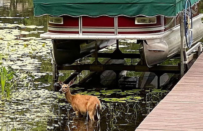 Sleepy Bay Getaway - Foto 21