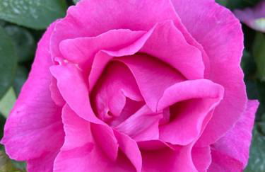 Casa Palombella - Foto 9