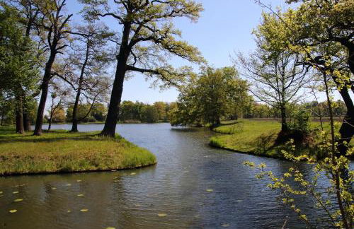 Gartenreich - Foto 15