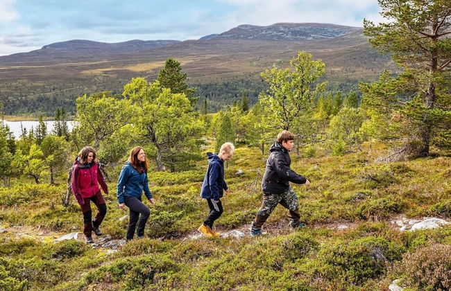 12 Person Holiday Home in Idre - Foto 18