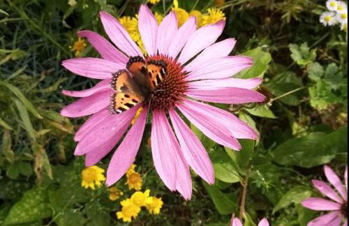 Ferienhaus Waldblick - Foto 28