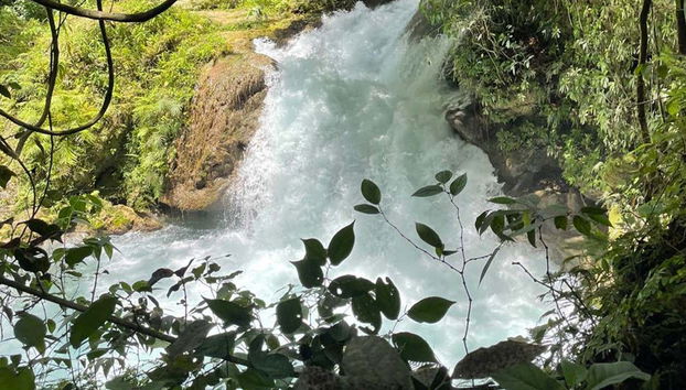 Ocho Rios & Blue Hole Tour - Foto 4