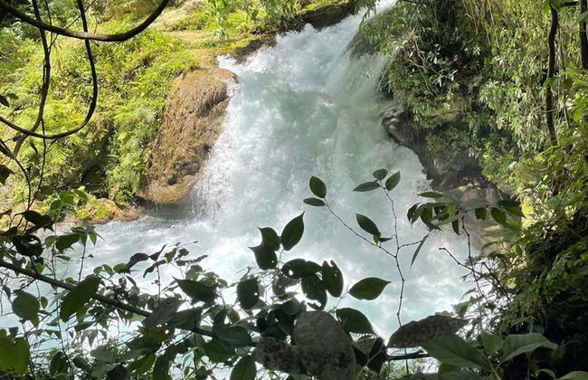 Ocho Rios & Blue Hole Tour - Photo 4