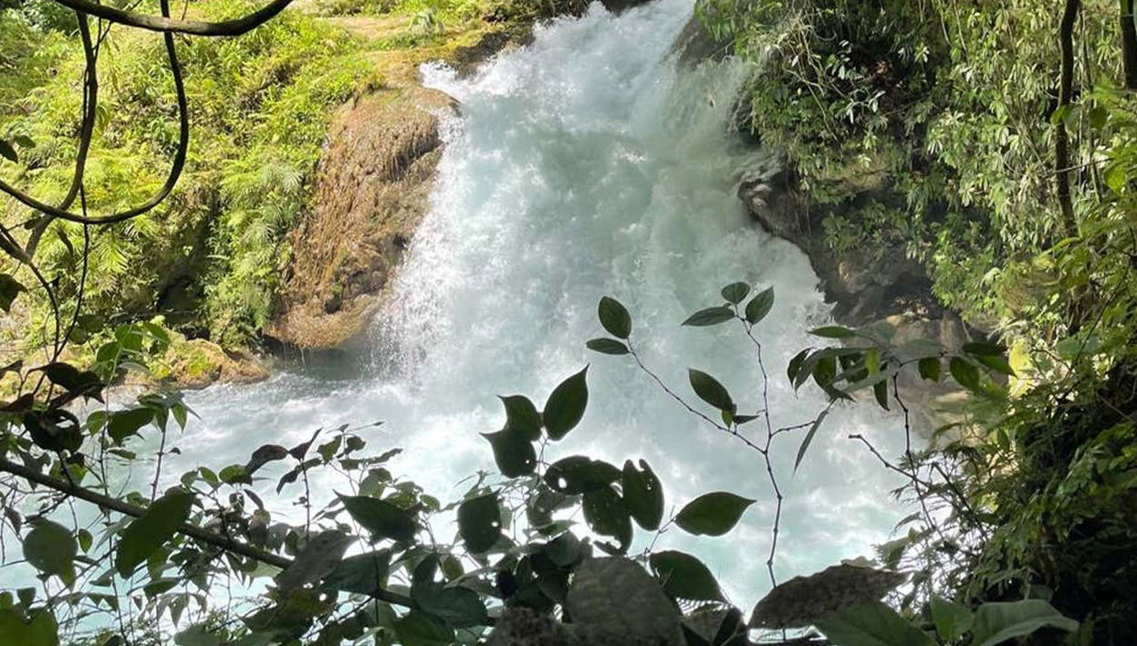 Visite d’Ocho Rios et du Blue Hole - Photo 1