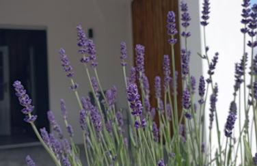 STUDIO 102 - Foto 14