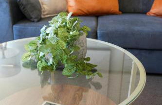 Train House - Photo 7