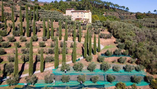 Luxury 6-bed Tuscan Villa Near Lucca and Florence - Foto 2, Imagen principal