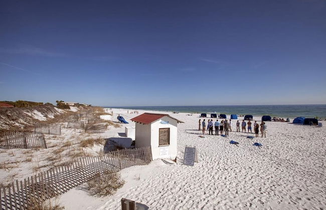 Tides at Top'sl Beach Resort by Panhandle Getaways - Foto 38