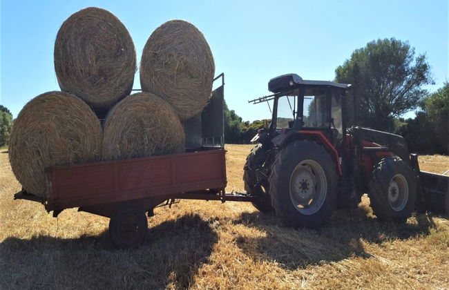 Stazzu lu Bulioni - Foto 62