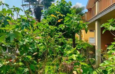 La Magnolia - Photo 13