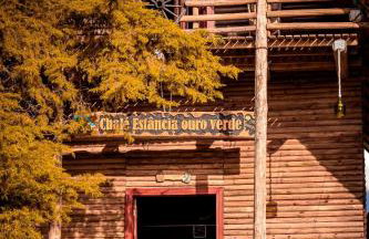 CHALÉ ESTÂNCIA OURO VERDE - Photo 10