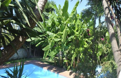 Attractive Greek House with Private Pool near Sea & City Center - Photo 38