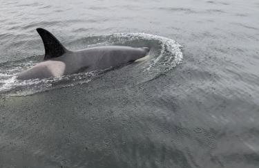 Accessible, Comfort, Convenient Location 106 - Foto 23