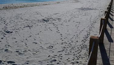 La Terrazza Di Chiara - Foto 4