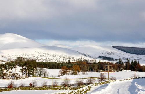 Nettlebush Cottage-Uk5629 - Photo 19