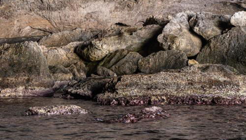 Coastline of Paradise - Foto 2