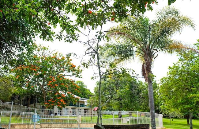 Near2Numbi - Foto 63