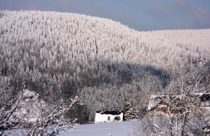 Ferienwohnung Riedl - Photo 18
