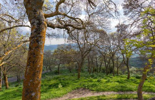 Dimora Storica Dei Nelson - Foto 23