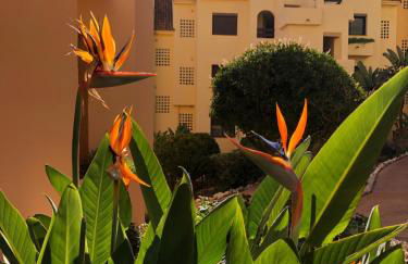 Duquesa Village (La Casa del Loonos) - Photo 42