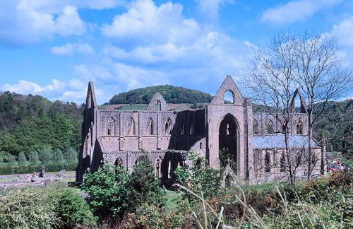 Cider Mill Lodge - Hw7420 - Foto 16