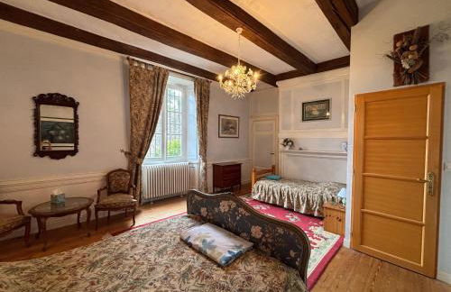 16th Century Manoir du Belvedere - central, unique, historical, with all modern amenities - Foto 2