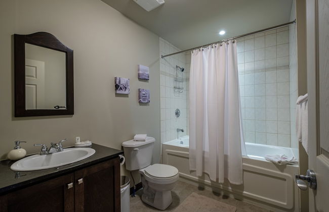 Borealis - RVMT - Foto 7