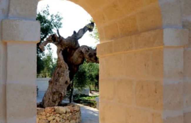 Agriturismo Masseria San Leonardo - Foto 34