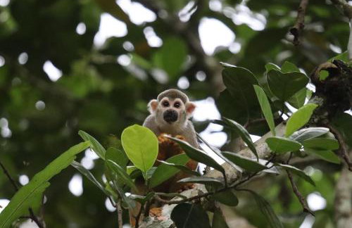 Sitio ecológico para eventos - Photo 6