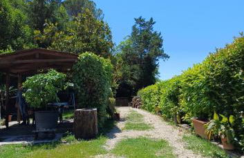 Il Caminetto - Foto 20