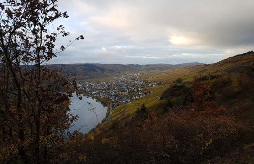Gästehaus Steuer - Foto 24