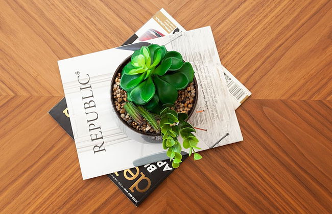 KULA North Sydney - Photo 16