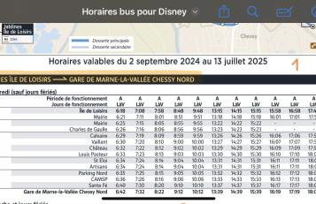 Green home Paris Disneyland - Foto 29
