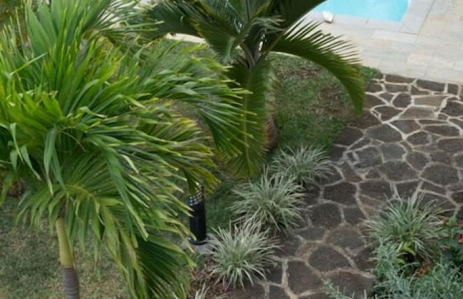 Villa Kreola - Foto 41