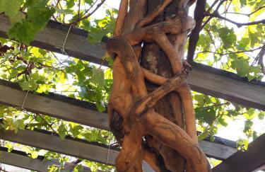 Villa Appetite - Photo 9