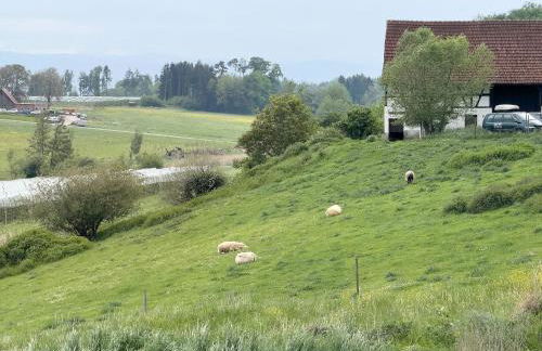 Biohof Stotz - Foto 22