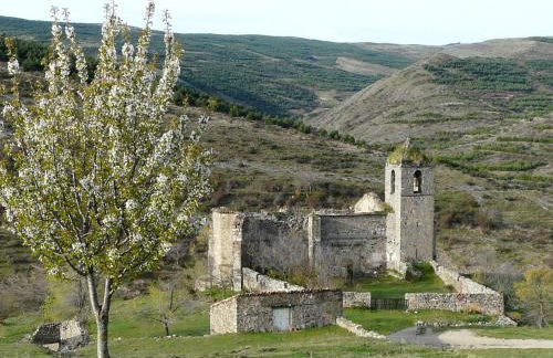 La Colmenita - Foto 9