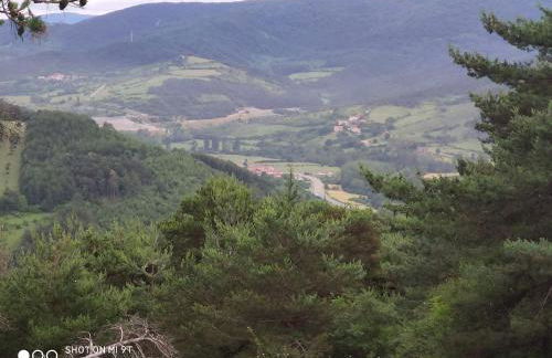 Alojamientos Acá y Allá - Foto 3