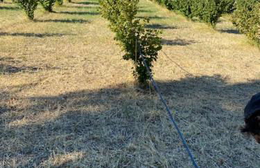 Casale in collina vista Assisi,Brufa di Torgiano - Foto 30