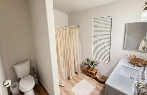 Cactus Bonito - Foto 28