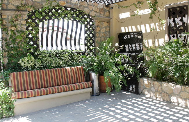 Cabo Vista Hotel - Adults only - Foto 3